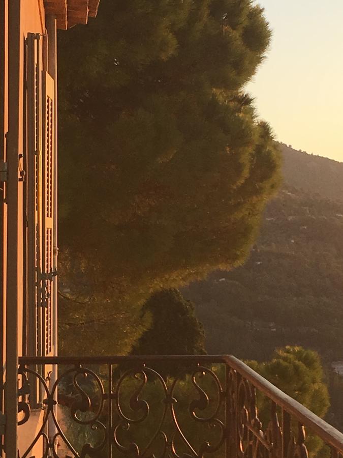 Hotel Particulier Des Jasmins Le Bar-sur-Loup Kültér fotó