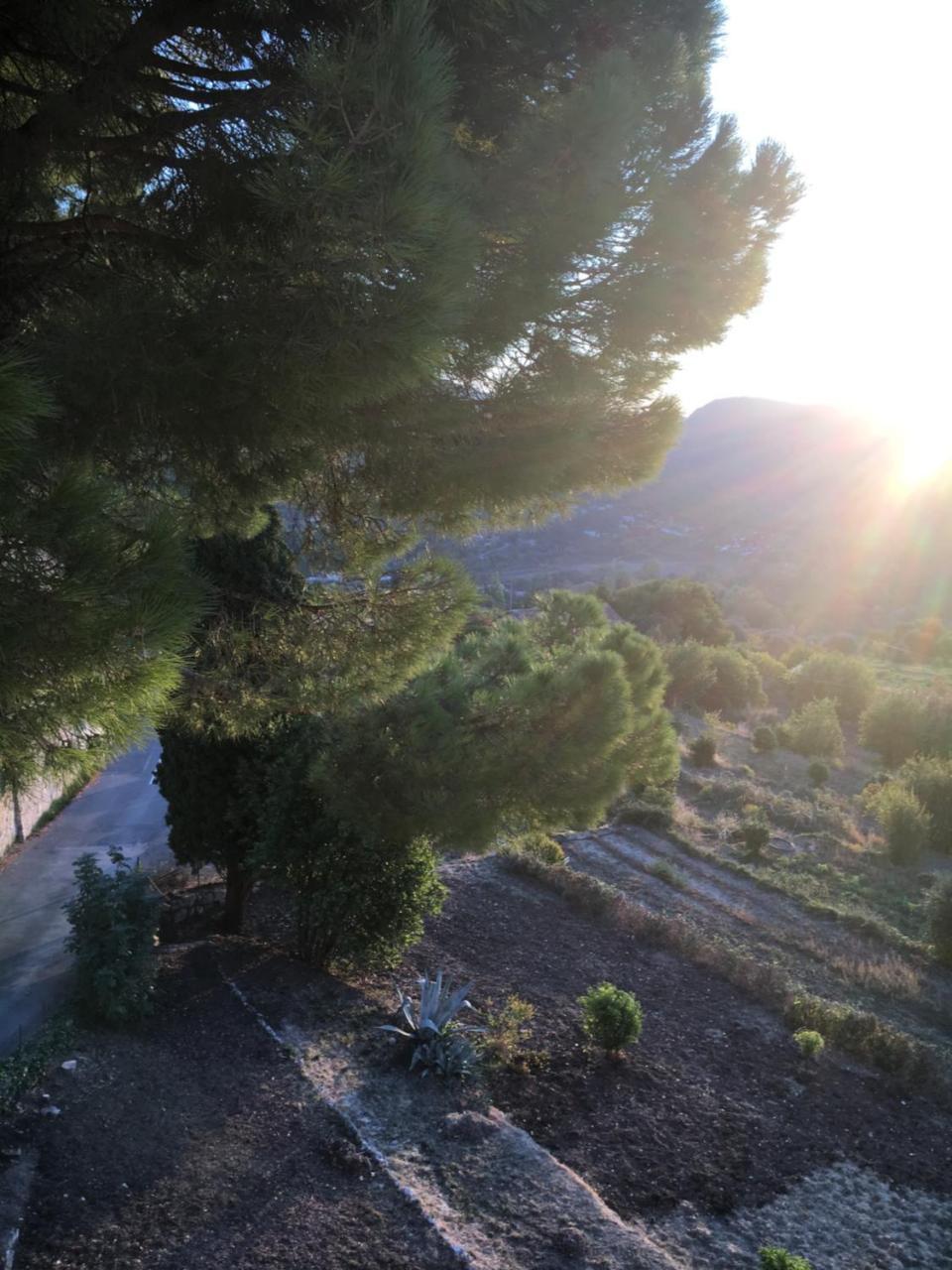 Hotel Particulier Des Jasmins Le Bar-sur-Loup Kültér fotó